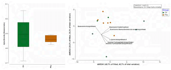 Figure 2 - Functional diversity assessed by Shannon index (left) and redundancy analysis (RDA) plot of gut microbiota functional profiles in control (Ctr) and phytogen (Phy) groups.