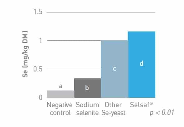 Boosting nutrition to enhance profits - Image 7