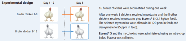 Biomonitoring mycotoxins : A new avenue to measure the impact of toxins on animals - Image 5