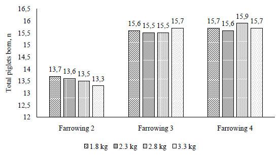 Total piglets born over four parities of females submitted to different feed amounts during late gestation in the first reproductive cycle - Mallmann et al. (2020) – data not published. Adequate replacement gilt flow in the herd. 