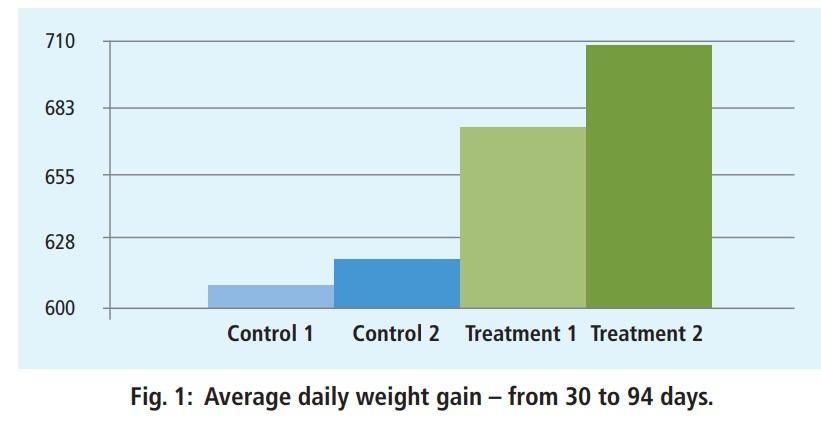 Gut integrity, intestinal microbiota and intestinal barrier or the strategy for enhanced performance and reduced medication and ZnO - Image 2