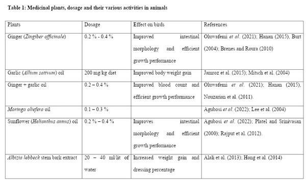 Use of Medicinal Plants as a Panacea to Poultry Production and Food Security: a Review - Image 1