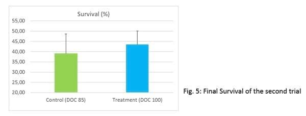 Promising results from field work in Se Asia on preventing White Feces Syndrome in white shrimp using a functional feed additive - Image 6
