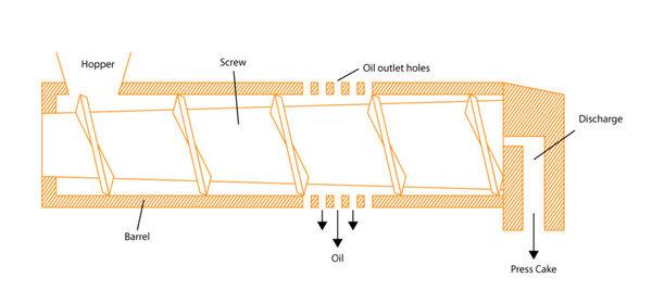 OIL PRESSING 101 - Image 3