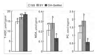 Figure 1 – Effect of selenium sources on pectoral muscle antioxidant parameters, total antioxidant capacity (T-AOC), malondialdehyde (MDA) and protein carbonyl (PC)