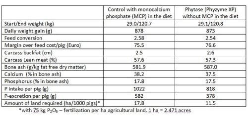 Tackling pig manure challenges with enzymes - Image 2