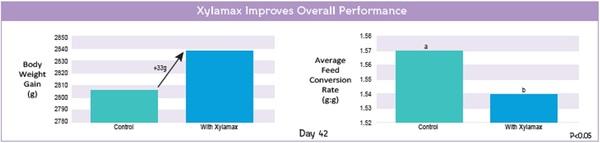 Evaluation of live performance and carcass characteristics of broiler chickens fed corn-soy diets supplemented with phytase and xylanase - Image 2