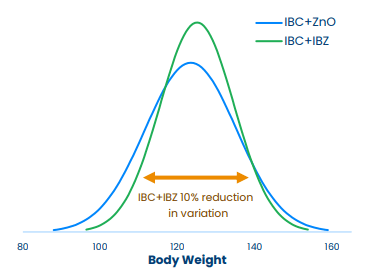Figure 3. Effect of the inclusion of unique sources of hydroxy trace minerals on herd uniformity at slaughter in grow-finishers fed throughout the entire period in Canada. IBC: IntelliBond C; IBZ: IntelliBond Z; ZnO: zinc oxide