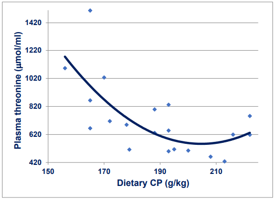 Figure 1 - Quadratic relationship (r = 0.702; P = 0.003) between dietary CP concentrations and free threonine plasma levels across five studies where y = 11557 - 107.5*CP + 0.263*CP2 . Adapted from Moss et al. (2018); Chrystal et al. (2020a,b,c,d)