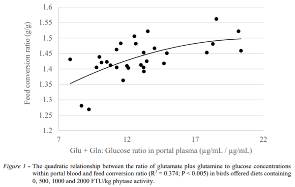 AUSTRALIA - PRELIMINARY INDICATIONS THAT EXOGENOUS PHYTASE INFLUENCES AMINO ACID AND GLUCOSE CATABOLISM IN THE GUT MUCOSA - Image 3