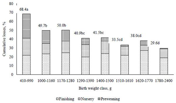 Culling and cumulative losses from birth until 170 days, according to birth weight classes of female piglets. Bars with one letter in common are not significantly different (P > 0.05) - Magnabosco et al. (2015). 