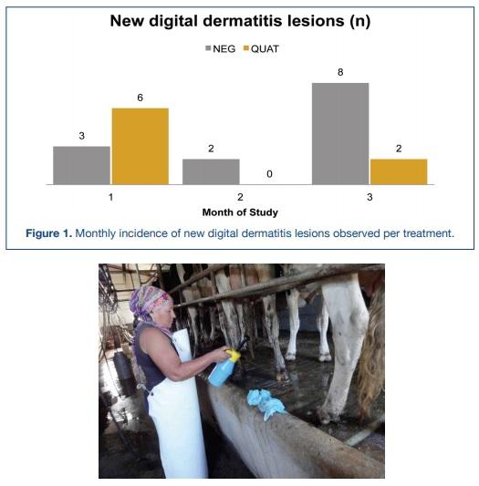 Preventive Efficacy of a Topical Hoof Spray Disinfectant Solution - Image 1