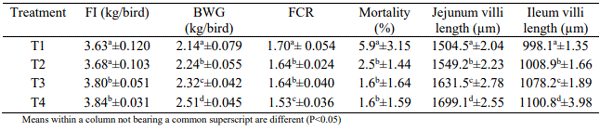 Table 1 - d1 to d42 performance of broilers fed different diets and d42 Jejunum and Ileum Villi length and crypt depth (data expressed as mean ± standard deviation).