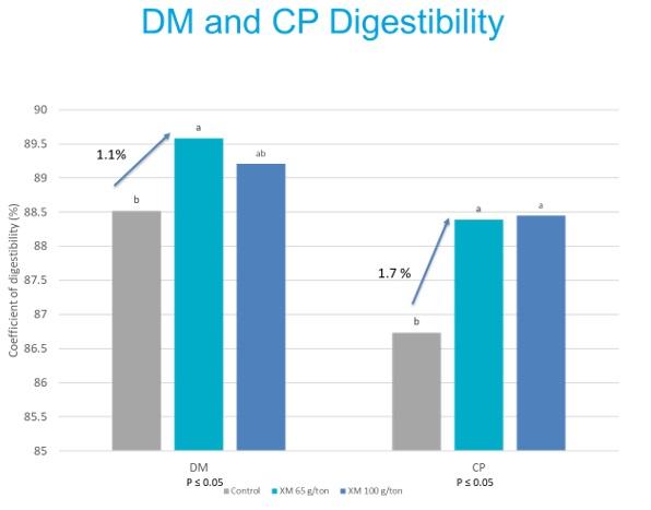 Evaluation of the benefits using xylanase on nutrient digestibility in pigs. - Image 2