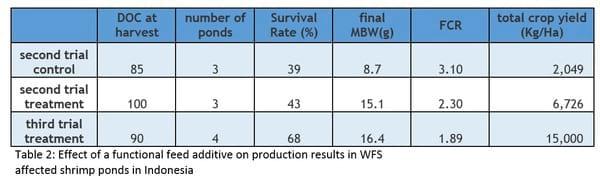 Promising results from field work in Se Asia on preventing White Feces Syndrome in white shrimp using a functional feed additive - Image 10