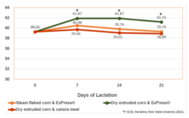 AUMENTO DE LA PRODUCCIÓN DE LECHE DEL GANADO LECHERO - Image 1