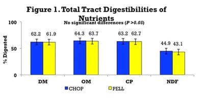 Does Forage Particle Size Affect How Heifers Utilize Distiller Dried Grains? - Image 1