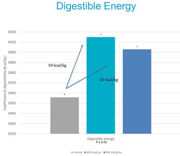 Evaluation of the benefits using xylanase on nutrient digestibility in pigs. - Image 3