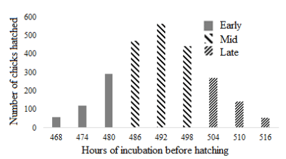 Figure 1 - Chick hatch times. 