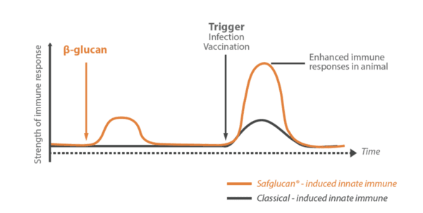 Immune training, a cornerstone of the post-antibiotic era - Image 2