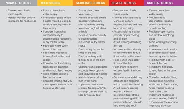 Preparation is the key to managing heat stress - Image 2