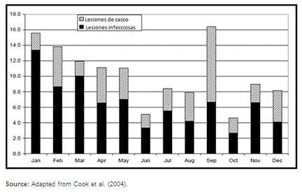 Dietary Carbohydrates In Heat-Stressed Dairy Cows - Image 3