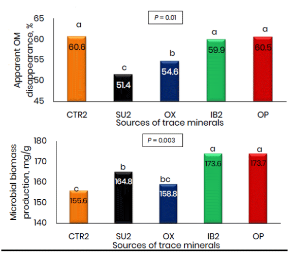 Figure 4: Results of in vitro rumen fermentation with sulfate, oxide, hydroxy and an organic proteinate on apparent organic matter disappearance and microbial biomass production. Superscripts indicate significance (P< 0.05). 