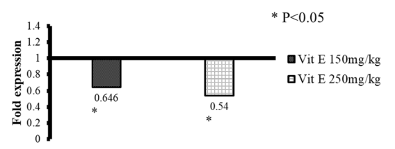 Figure 2 - Effect of vitamin E supplementation on HSP70 expression during hot humid summer on 42nd day. 