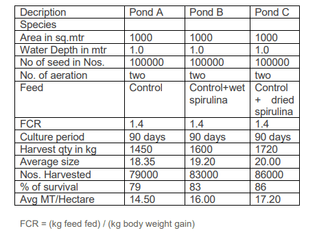Spirulina - Fortunate thing for aqua feed - Image 1