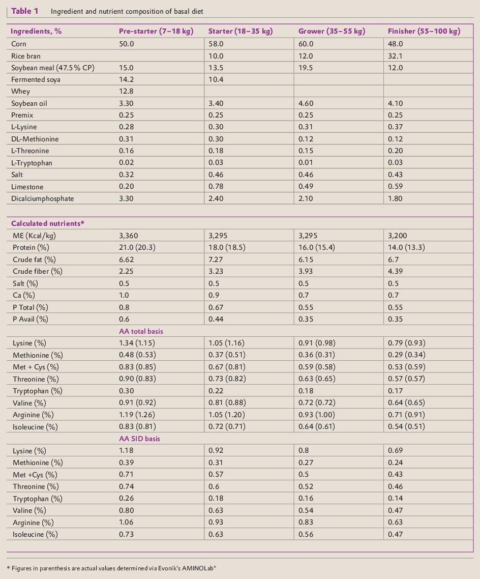 CreAMINO® supplementation improves growth performance and lean meat yield of pigs - Image 1