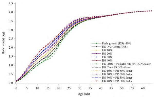 Figure 2 - Growth trajectories designed for broiler breeders (Experiment 2).