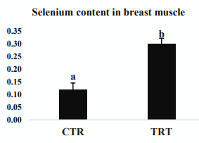 Figure 1 - Selenium content in breast muscle