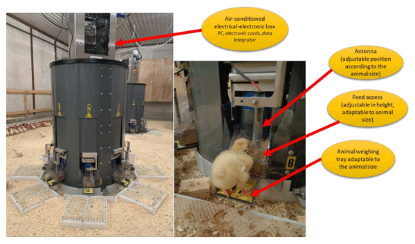 Figure 1. Description of BIRD-e, the electronic feeder for poultry