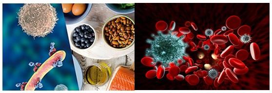 Immunonutrition, a topic of interest - Image 1
