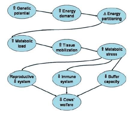 Reproductive Performance in High-producing Dairy Cows: Can We Sustain it Under Current Practice?- Part II - Image 5
