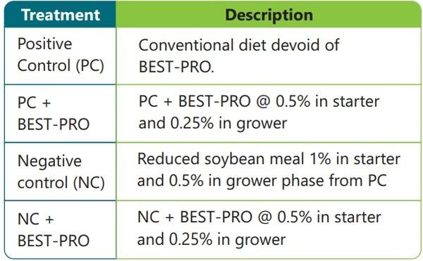 Use of highly bioavailable protein and probiotics in poultry feed - Image 2