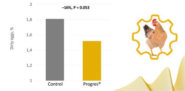 Progres® for laying hens: less dirty eggs and better eggshell quality - Image 4