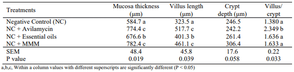 Table 4 – Effects of dietary treatments on ileum morphology at 28 d