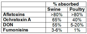 Why mycotoxins make you lose the money invested in feed? - Image 5