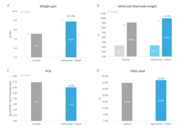 Boosting tilapia performance - Image 5