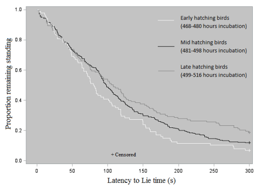  Figure 2 - Survival probability curves of LTL time based on hatch groups.