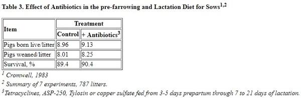 Improving Preweaning Survival of Pigs - Image 3