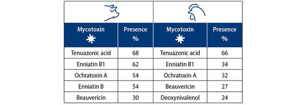 Emerging Mycotoxins: significantly present, highly toxic, and mostly undetected in vivo – until now - Image 3