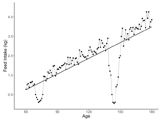 Simulated example of a feed intake curve in a pig with two periods of depressed feed intake due to a stressor such as disease. The regression line can be used to extract the residual mean square error (RMSE) to quantify resilience for each individual animal.