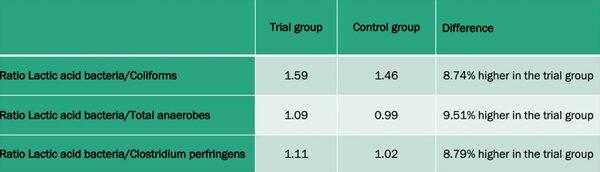 DigestoCid© boosts productivity and improves gut flora composition in caged broilers - Image 3
