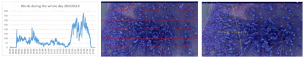 Figure 5 - The number of birds observed in different periods of the entire day (left), the visualization of density estimation based on equal-sized windows (middle) and clustering (right).