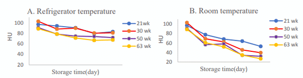 Figure 1 - Effects of hen age and storage time on HU at A) refrigerator temperature, B) room temperature. 
