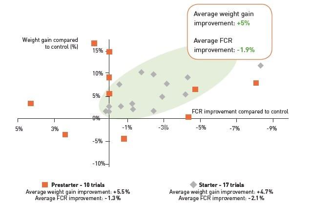 ROSEN Test to objectively evaluate feed additives in piglets - Image 3