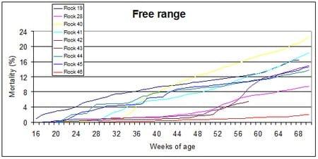 Poultry welfare in different production systems - Image 6
