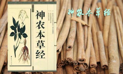 Cinnamon helps you to control coccidiosis - Image 2